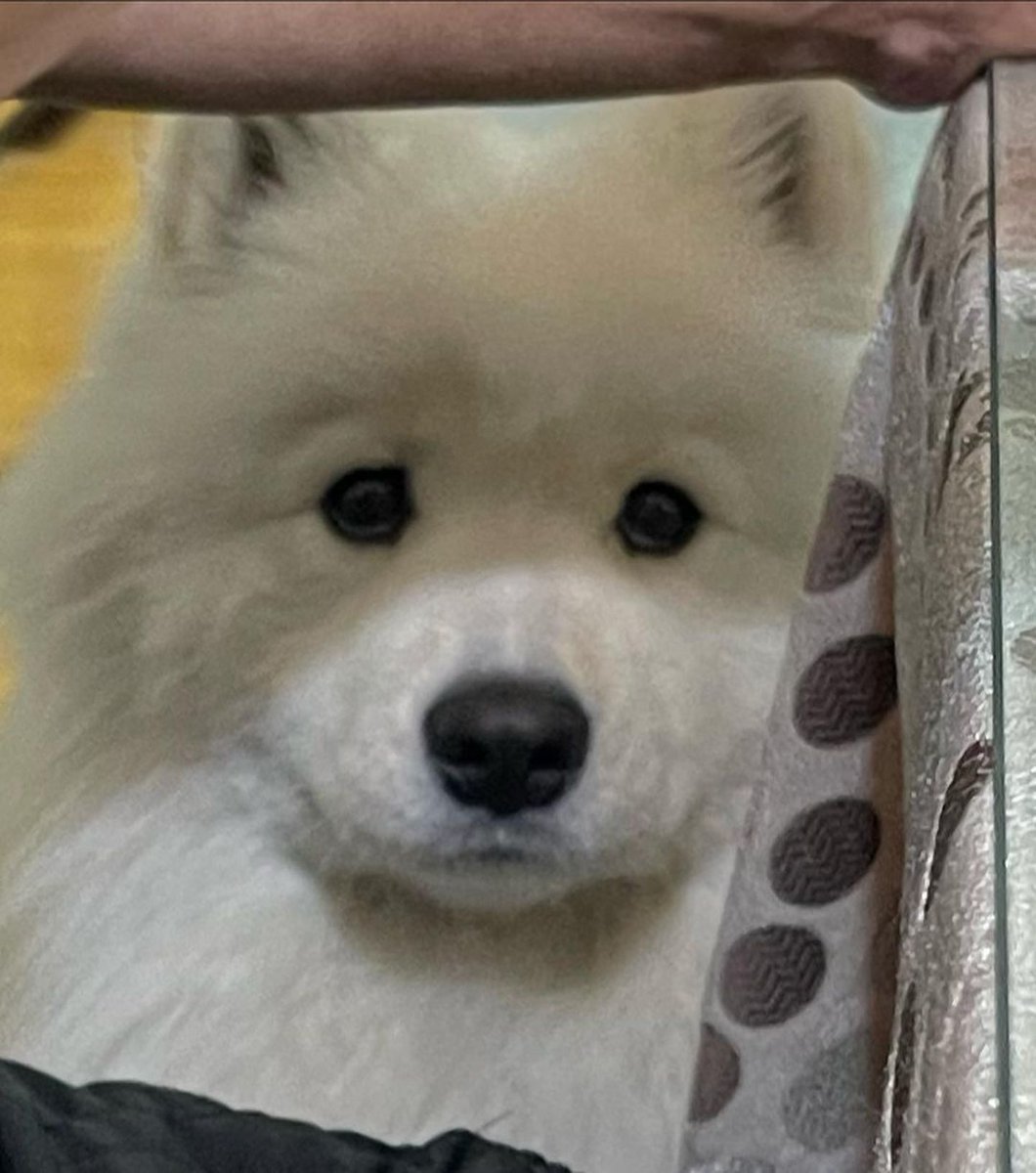 DisJvan's tweet photo. หน้าแบบนี้แปลว่า https://t.co/iXmQ1cONBL
