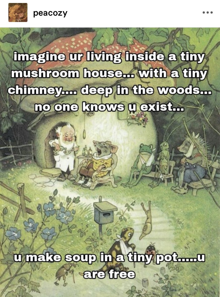 tumblr's tweet image. 🍄🍄🍄