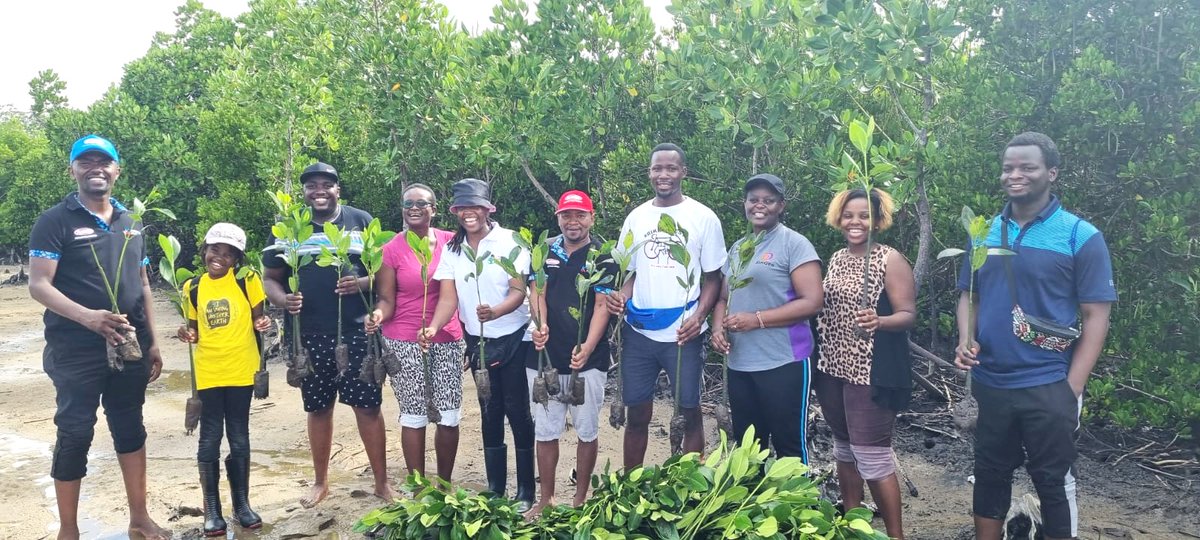 Glad to plant my first mangroves today. I'm happy to support the work of grassroot organisations @BlueEarthOrgan1 and @BIKE_is_BEST who are at the forefront of combating climate change via tree planting & green mobility.