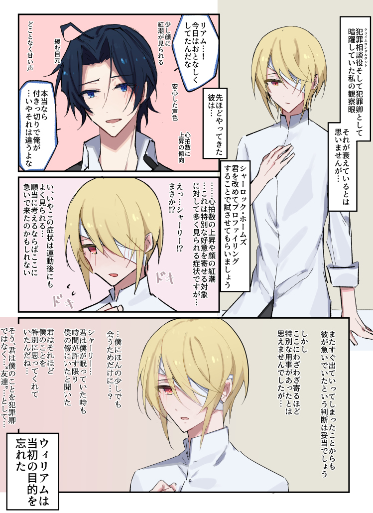 これはウィの橋後の詳細が分からない頃にラフだけ書いて寝かせてた色ボケしてる元犯罪卿(多分シャーウィリ)