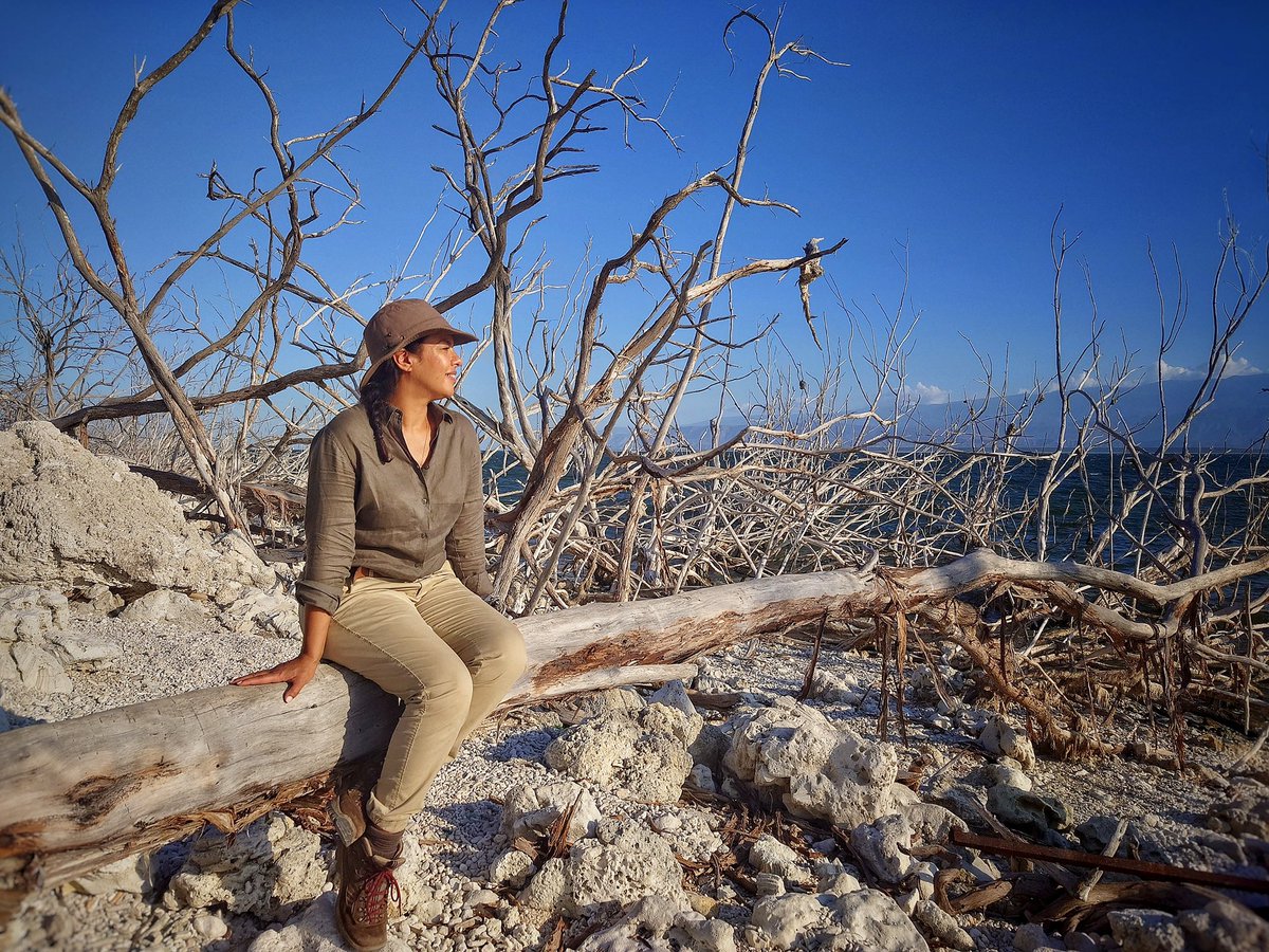 Forget the stormy weather… Liz Bonnin’s Wild Caribbean continues with @lizbonnin exploring the extraordinary natural wonders of the Caribbean. Sundays at 9pm on @BBCTwo and episodes on @BBCiPlayer.