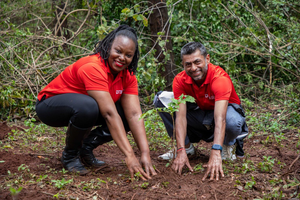 DTBKenya's tweet photo. On this National Tree Planting Day, DTB, led by our CEO, @ndevji, joined government agencies to plant trees at Ngong Road Forest to support the national agenda towards growing 15 billion trees by 2032.

This initiative is in line with DTB’s commitment to environmental conservation and combatting climate change 🌳 

#MuchMoreThanTrees #TreePlantingDay #JazaMiti #WakenyaTulindane