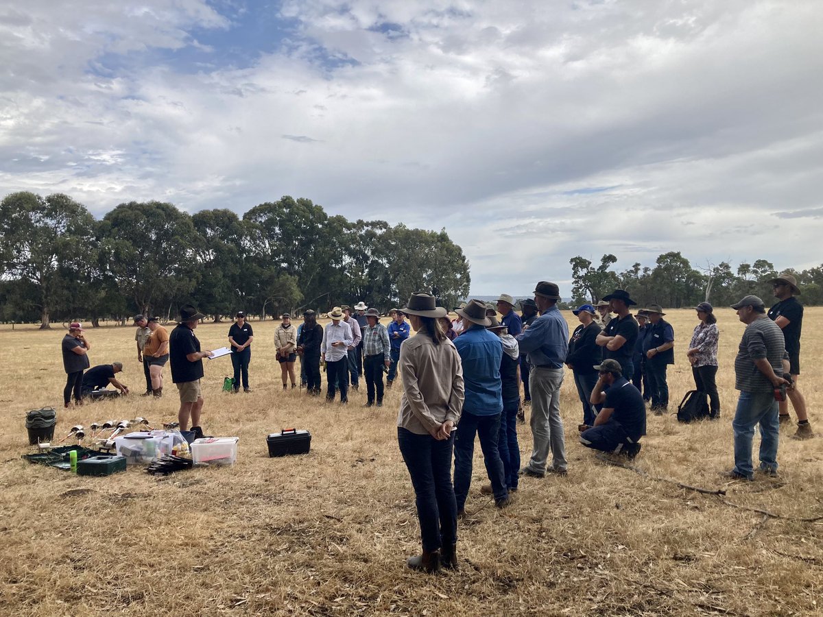 Fantastic turnout for todays DIY soil sampling field day! Farmers in the Peel Harvey catchment are super keen to learn more about their soils and practice evidence-based nutrient management 🙌 #WAEstuaries <a href="/PeelHarveyCC/">PeelHarveyCC</a> <a href="/DWER_WA/">DWER WA</a> <a href="/DPIRDWA/">DPIRDWA</a>