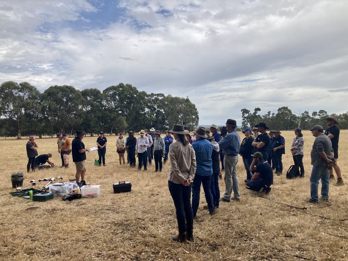 Fantastic turnout for todays DIY soil sampling field day! Farmers in the Peel Harvey catchment are super keen to learn more about their soils and practice evidence-based nutrient management 🙌 #WAEstuaries @PeelHarveyCC @DWER_WA @DPIRDWA