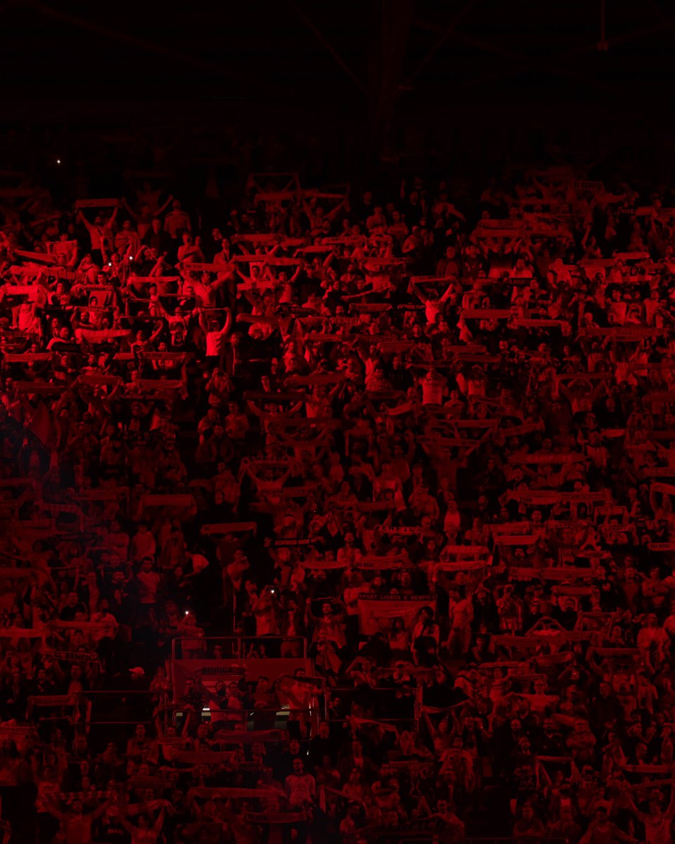 🥰 𝗝𝗨𝗡𝗧𝗢𝗦! Obrigado, Benfiquistas! 🙌

#SejaOndeFor • #SLBSCP