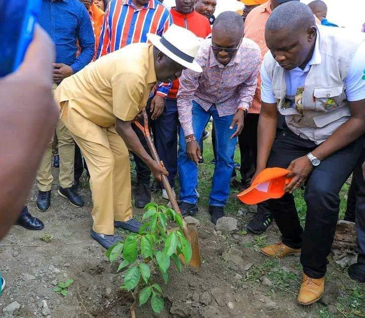 KENYA GOES GREEN 🌳 Former Prime Minister Hon. Raila Odinga embracing the National Tree Planting Day. 🌲 #JazaMiti #TreePlantingDay #KUWA #LandscapingKenya