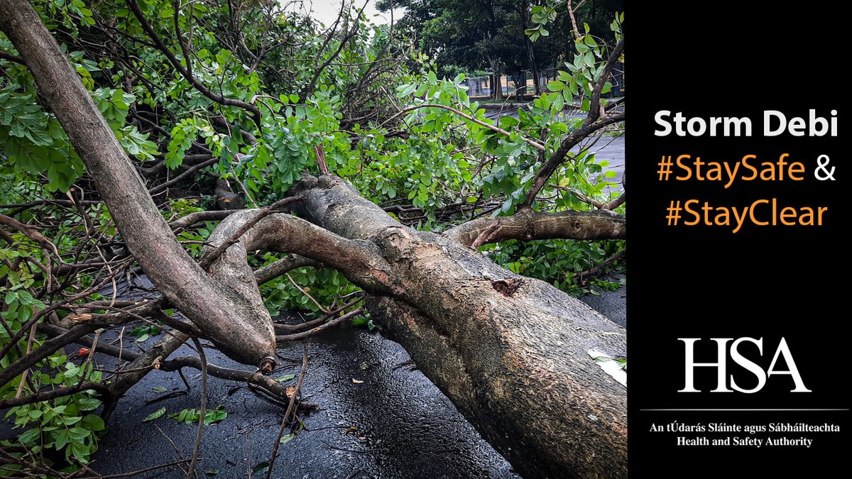 TheHSA's tweet image. As #StormDebi crosses the country, a reminder that chainsaws should only be used by competent users. Keep away from fallen power lines and call @ESBNetworks on 1800 372 999 Don’t take chances - #StaySafe and #StayClear