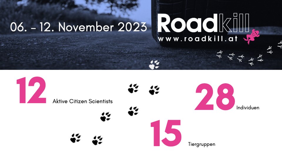 Wieviele überfahrene Tiere vergangene Woche in unserem #citizenscience Projekt gemeldet wurden, könnt ihr hier sehen.  Welche genau, findet ihr auf der Projektseite: roadkill.at/erfolge/woeche…