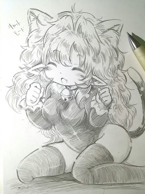 猫って妊娠しやすいのですか!!!!????? の再掲 