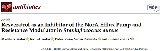 UBI_pt's tweet image. Santos, M., Santos, R., Soeiro, P., Silvestre, S., Ferreira, S. just published the paper &quot;Resveratrol as an Inhibitor of the NorA Efflux Pump and #Resistance Modulator in #Staphylococcusaureus&quot; in Antibiotics.
 DOI: 10.3390/antibiotics12071168
#effluxinhibition #NorA #resveratrol
