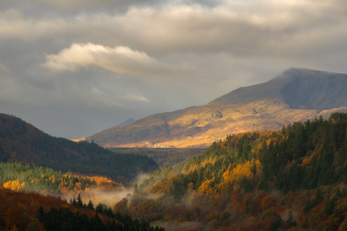 Dannykenealy's tweet image. Moel Siabod with the Eryri autumnal colours.

#wexmonday