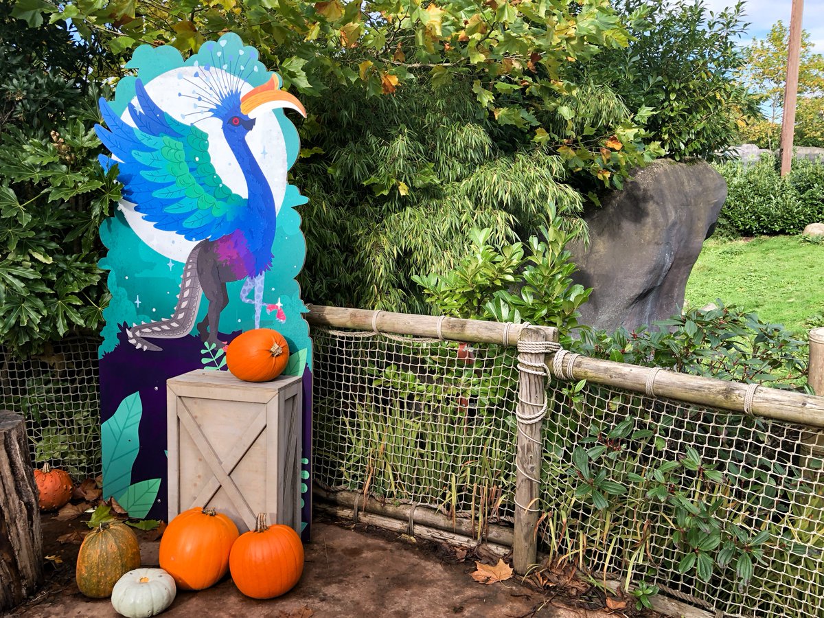 Kyle Prior tweet media