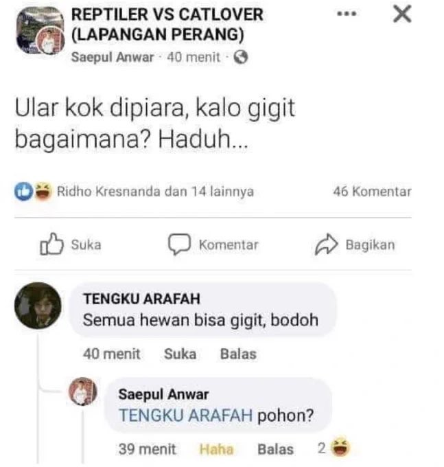 no context receh tweet media