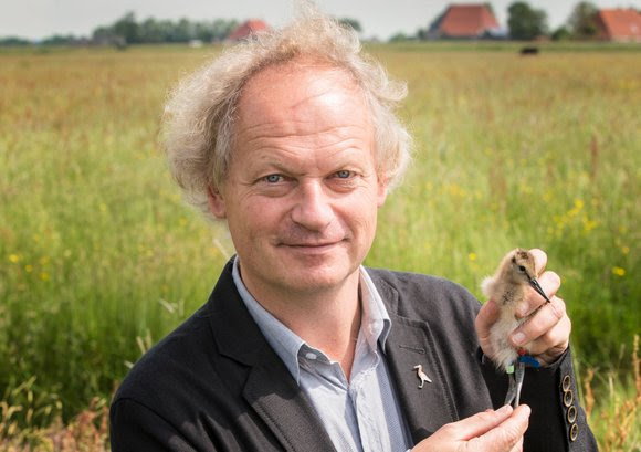 Ander RUG-onderzoek in de campagne is dat van Theunis Piersma (@GlobalFlyway) die het gedrag van #trekvogels zoals de #grutto onderzoekt. Dit leert ons tevens veel over #klimaatverandering 🌡️ Lees meer  👇
universiteitenvannederland.nl/waarde-van-wet… @ScienceLinX @tweetsunl  #waardevanwetenschap