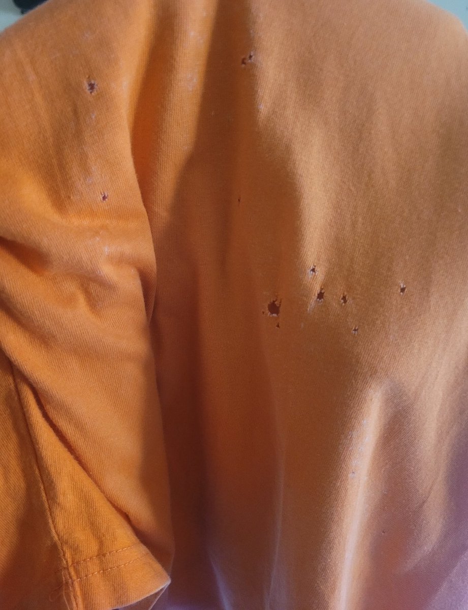 Daniel Regha tweet media