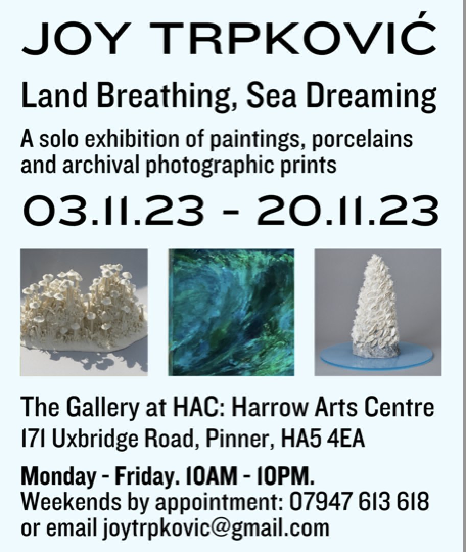 Beautiful exhibition of the delicate ceramic work of Joy Trpkovic at <a href="/HarrowArts/">Harrow Arts Centre</a>  in Hatch End. well worth a visit
