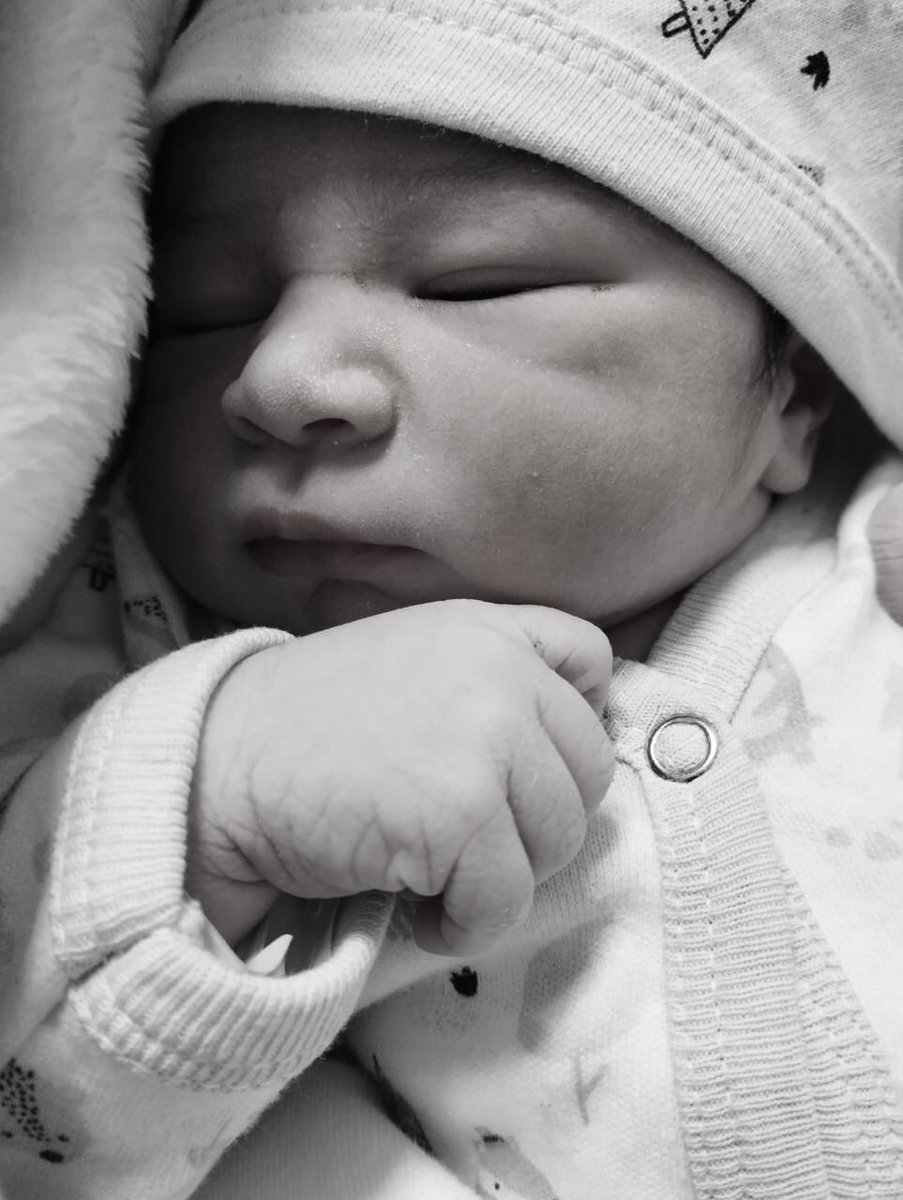 Antonella_ifc's tweet photo. Bienvenido al mundo polli🐣✨ https://t.co/EH1Pi0de28