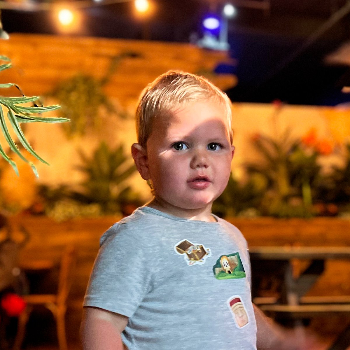 Do you have a little adventurer who'd love to explore The Lost City? 🤠

If interactive obstacles, projections, props, and immersive jungle theming, would have them grinning ear to ear, why not book in some time to make memories? ⛳️

#kidsactivities #kids #learningthroughplay