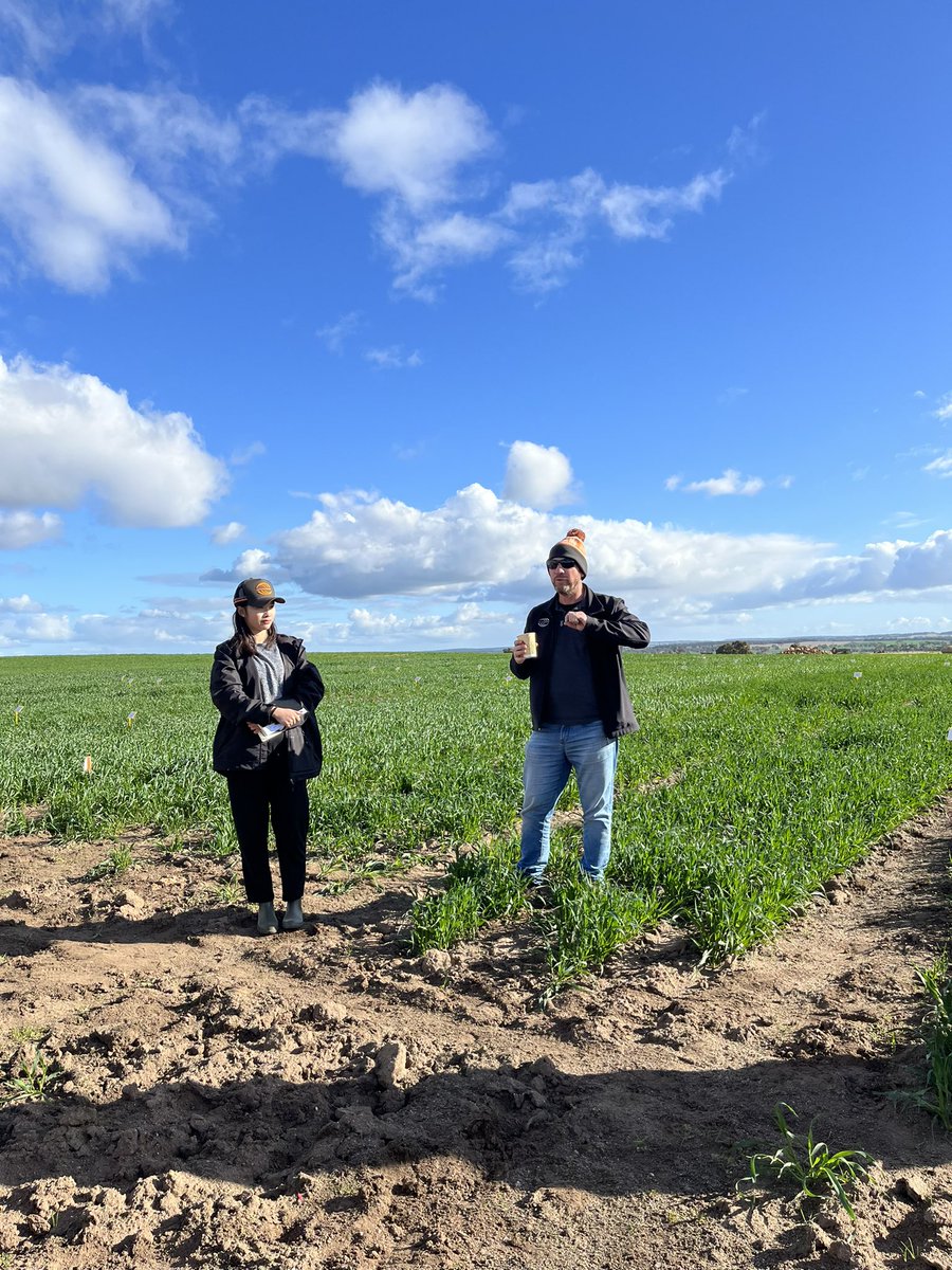 InterGrain tweet media