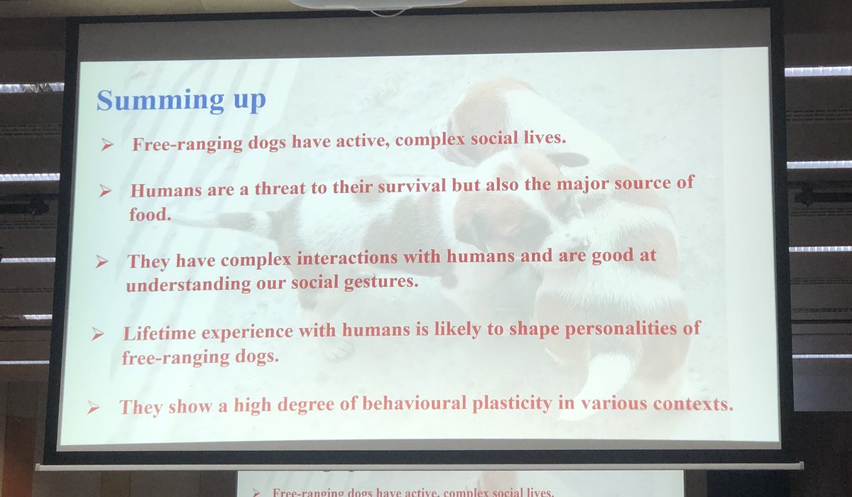 Starting the final day of the <a href="/CanineForum/">Canine Science Forum</a> with fascinating research on free-ranging dogs in India.  Love this research with such an interesting canine population!