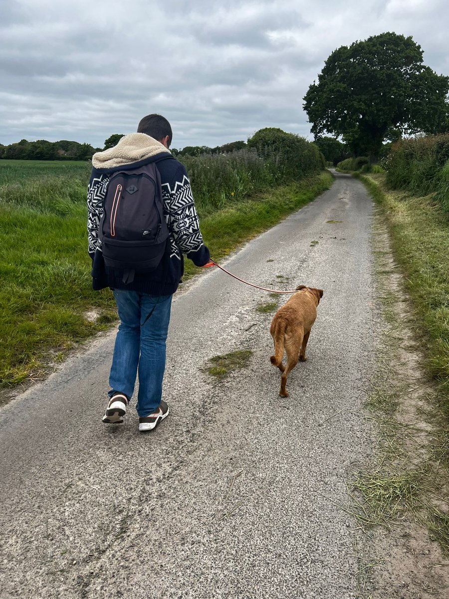 Cascade_Cohen's tweet image. Joe volunteered to walk some dogs. What a fantastic thing to do! 
#Dogwalking 
#exerciseforall