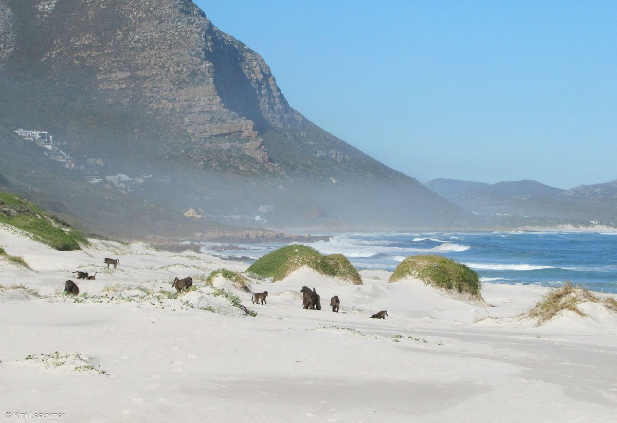 NCC Environmental Services tweet media