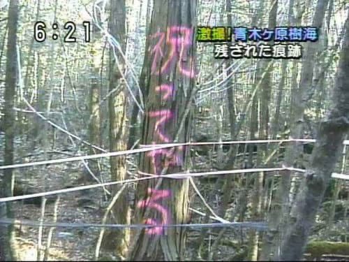 gekibnews's tweet photo. 富士山の青木ヶ原樹海が、一気に怖くなくなる画像 https://t.co/MnpffxCx4u
