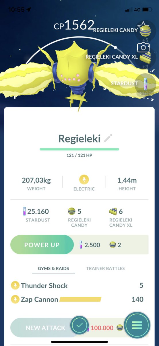 alexia_madutz's tweet photo. Thx so so much my friend I cannot believe we caught him ❤️❤️❤️@PokemonGOHubNet @PokeGoFriends @PokemonGoApp https://t.co/VivY9tFQJU