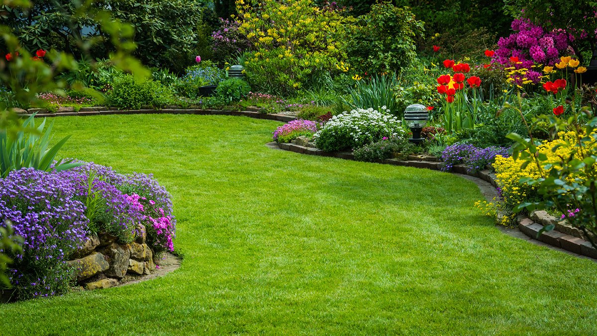 Landscaping your garden to add value to your home
Transforming your garden from a simple lawned space to a landscaped haven of beauty can make a world of difference to the property’s market value
horler.co.uk/NewsDetails/La…
#garden #landscaping #horler