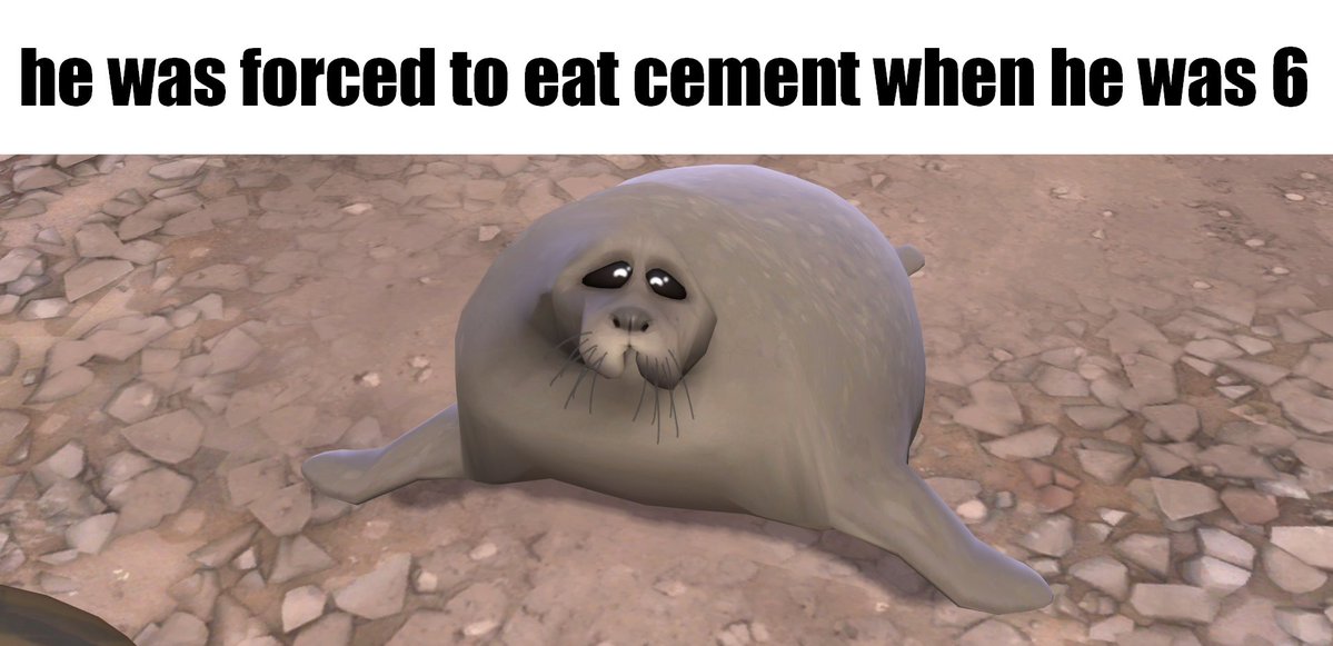 waraxe14's tweet photo. Goofy ah seal
#gmod  #TF2SummerUpdate #tf2 https://t.co/fhbkTR4MlC