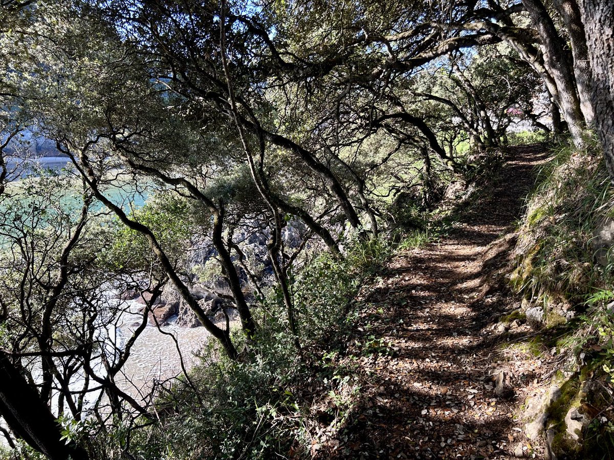 Senderos de gloria (bendita)