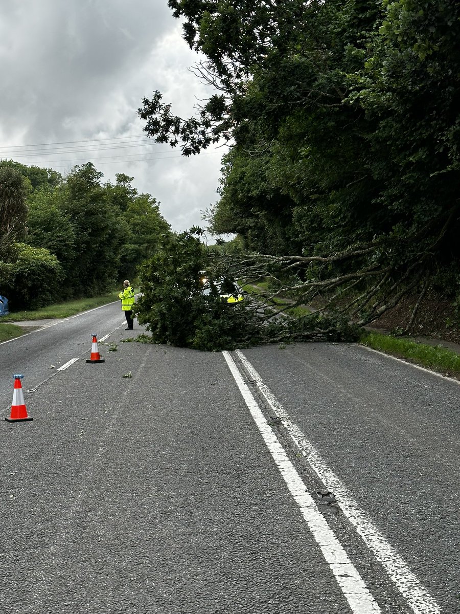 DCP West Cornwall Specials tweet media