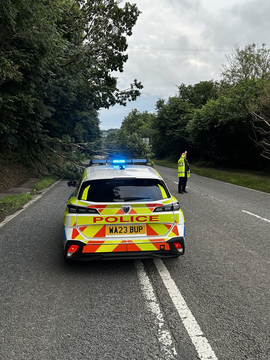 DCP West Cornwall Specials tweet media