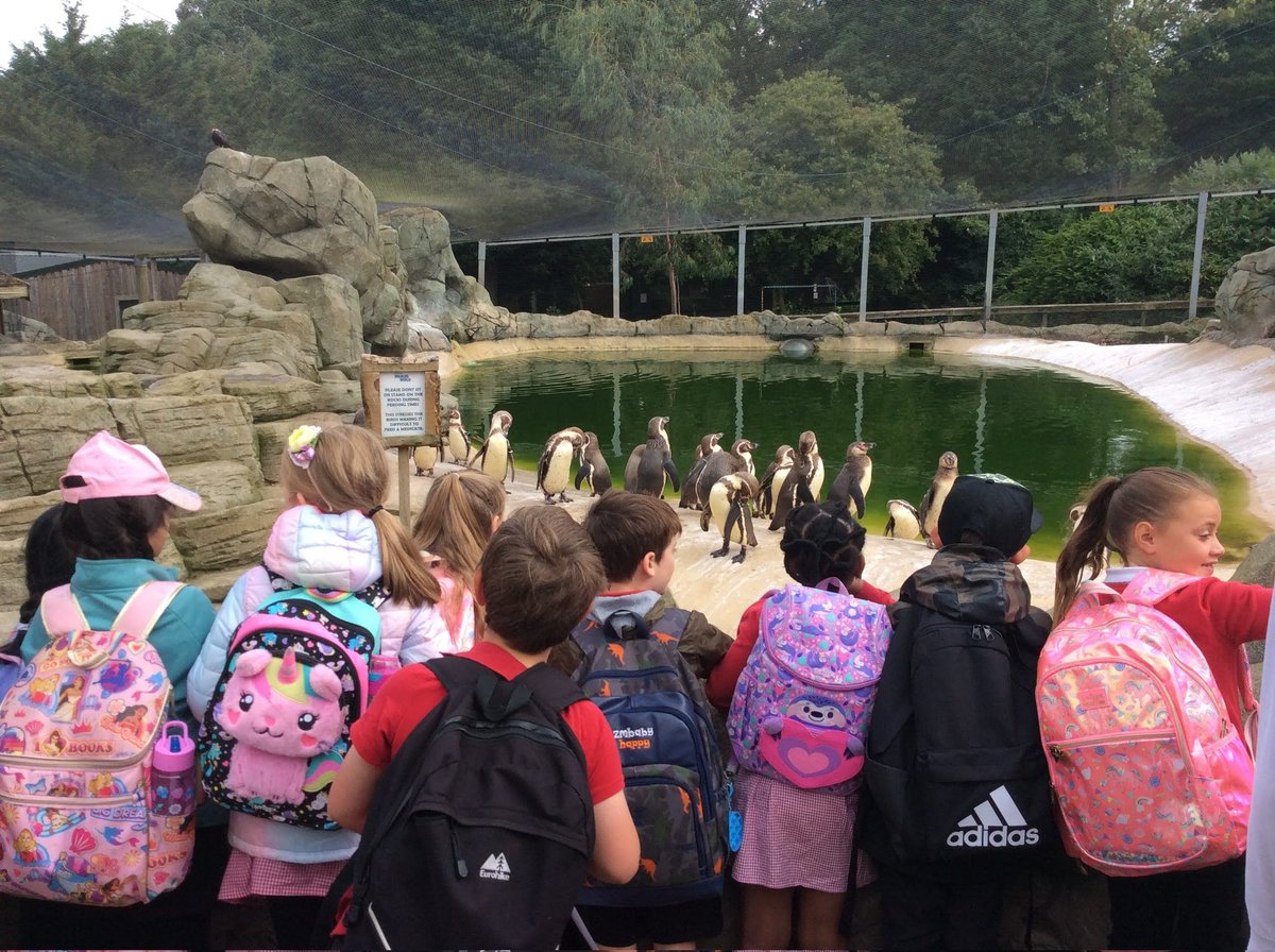 EddonMrs's tweet photo. Whip-Ma-Whop-Ma-Gate have had a fantastic @HaxbyRoad 100 week! Our trip to @LothertonHall was a real highlight! Meeting all the animals and exploring the grounds! #HR100 #AnimalLovers https://t.co/64XMeMW0yc
