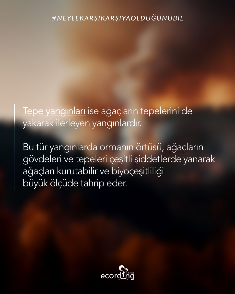 Çoğu şehrin önümüzdeki günlerde sıcaklık rekoru kırması beklenirken, #ormanyangını riski hiç olmadığı kadar yüksek. 🌡️

İklim krizine karşı en büyük siperimiz olan ormanları korumak hepimizin görevi. Haydi işe ülkemizdeki yangın türlerini öğrenerek başlayalım!

#OrmanYangınları