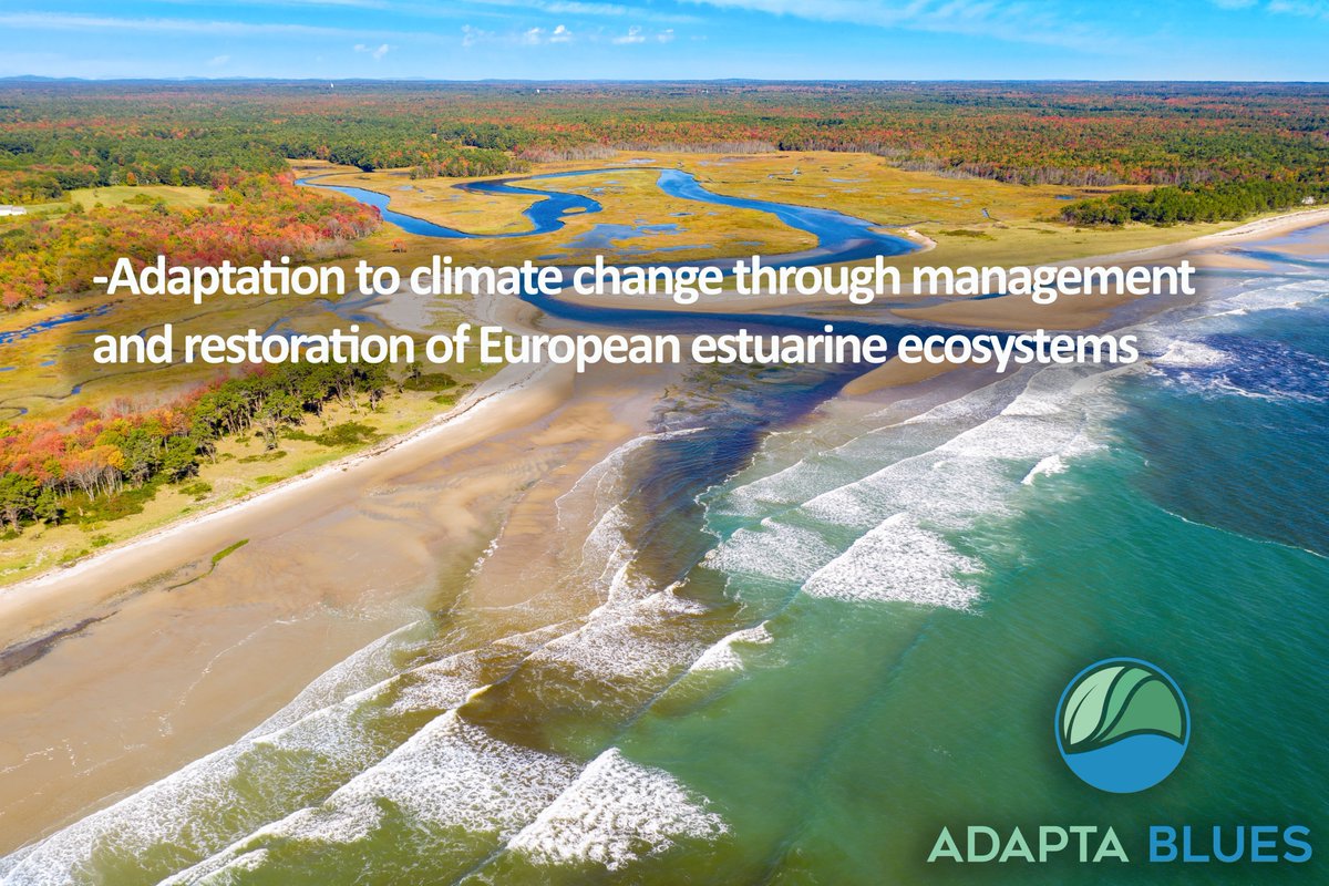 AdaptabluesPt's tweet photo. Caso não saiba: lançámos cursos sobre #ecosystemsstuarine e #ClimateChange para profissionais, licenciados e estudantes de pós-graduação.

São gratuitos e leccionados em inglês. 👇
@LIFEprogramme @nature_org #IHCantabria 

https://t.co/DLtjXfNq1T https://t.co/U8qsm9aW45