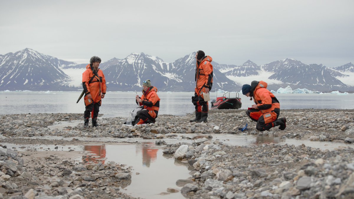 It's been a good couple of days supporting the @UK_CEH team who have been busy setting up an algae trap in Bayelva and doing some water sampling below Feiringbreen as part of the @BIOPOLE_NERC project. #UKinArctic @BAS_News @NERCscience.