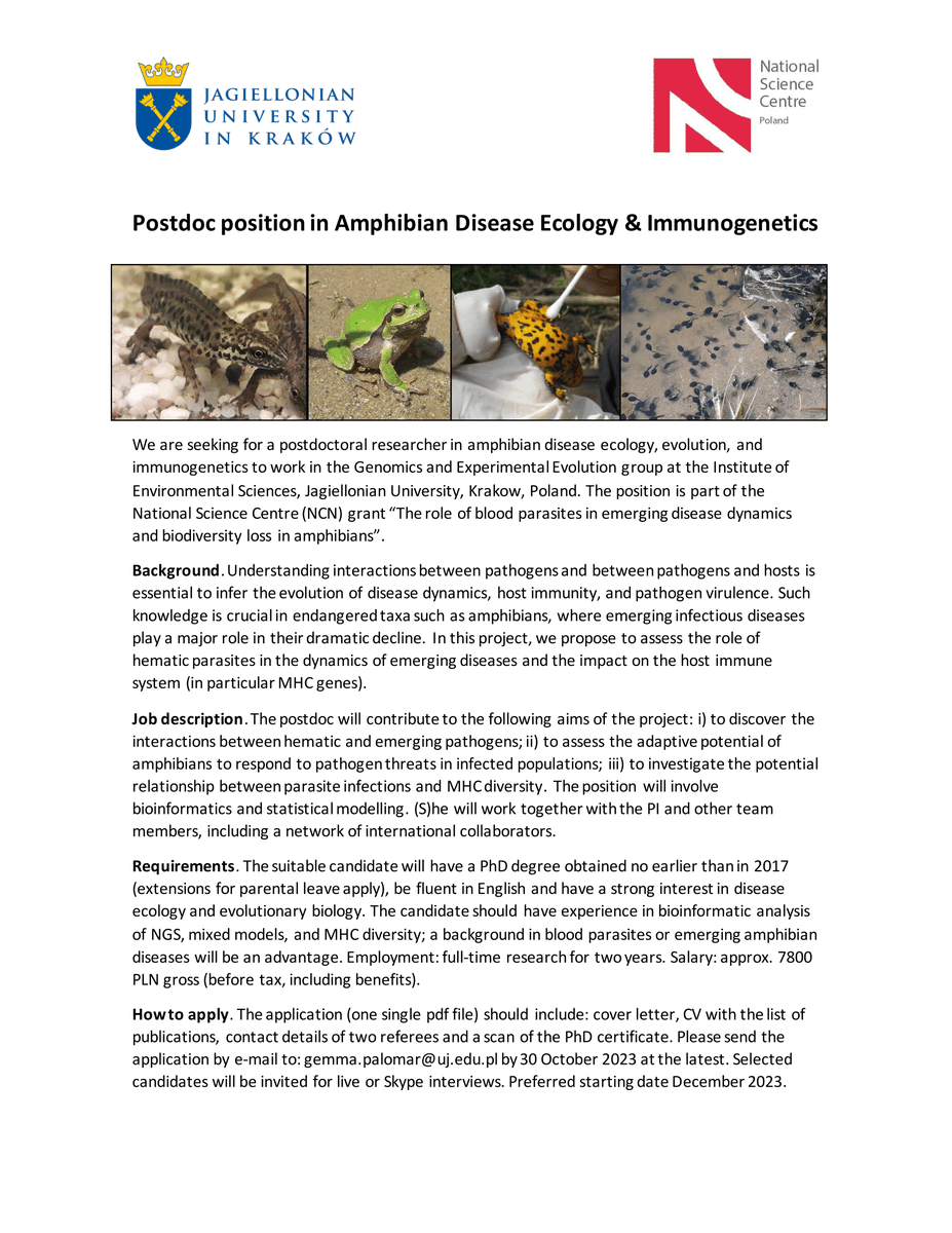 PlesnarAgata's tweet photo. Anyone interested in immunogenetics? 
A friend of mine is looking for a postdoc https://t.co/WuyRoUonQP
