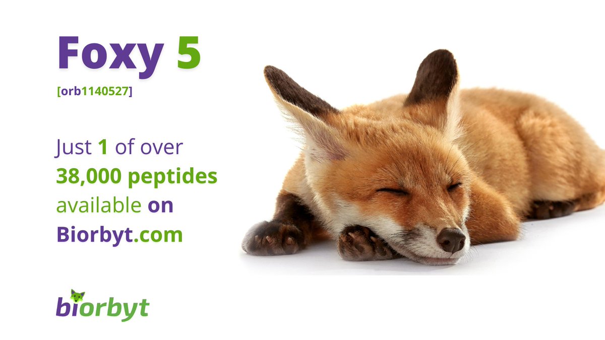 🦊🦊🦊🦊🦊

#research #lfesciences #laboratory