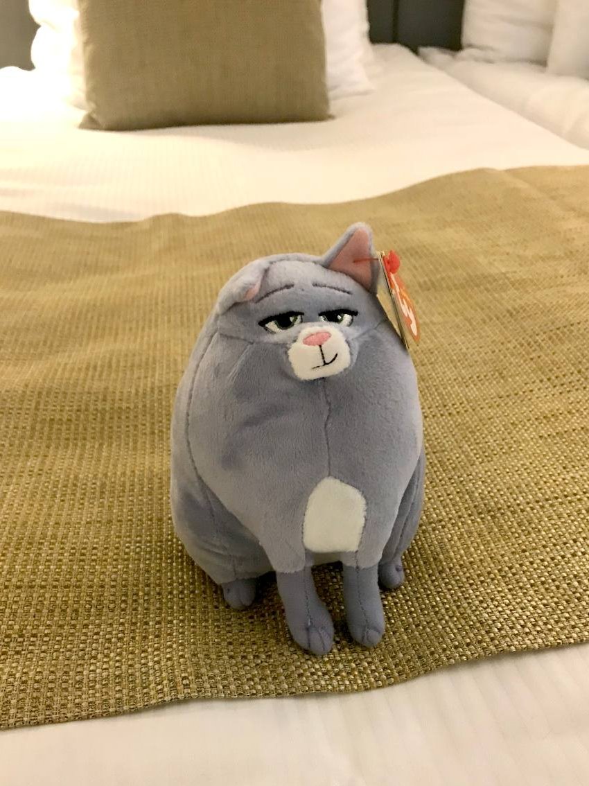 edakallas's tweet photo. Welcome to #tallin , said Chloe

#estonia #tallinn #travel #happy #baltic #girl #cominghome #freelance #дома #таллин #эстония #путешествия #home #лето #здесьисейчас https://t.co/5ZSgmrqS6g