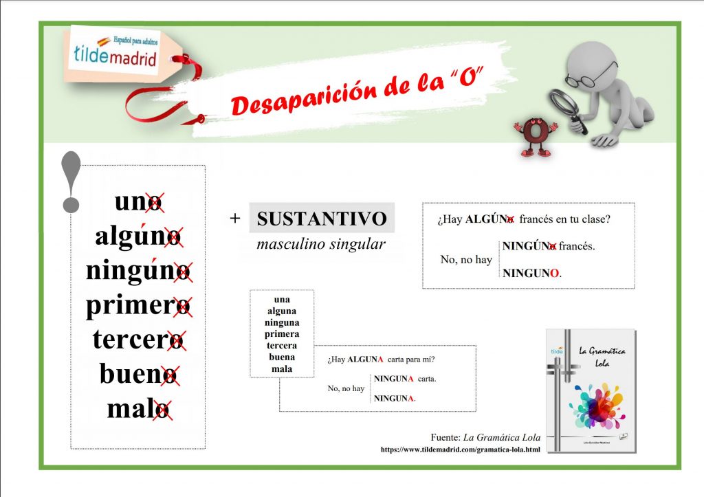 Algún, alguno, bueno, buen,... Existen algunas palabras en español que, dependiendo de su posición en la frase, pierden la parte final. Este fenómeno gramatical se denomina apócope. Aquí tienes la regla: