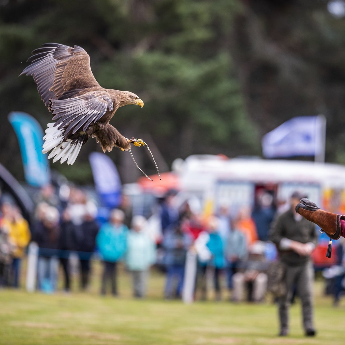 We are delighted to announce we are exhibiting at two fantastic local events this Summer. Come along and meet us at <a href="/HFSFMoy/">Moy Country Fair</a> Country Fair &amp; Dubness-The Gathering. Find out more about our sales &amp; hires vehicles from our experienced teams.😀 #motorhomes #campervans #motorhome