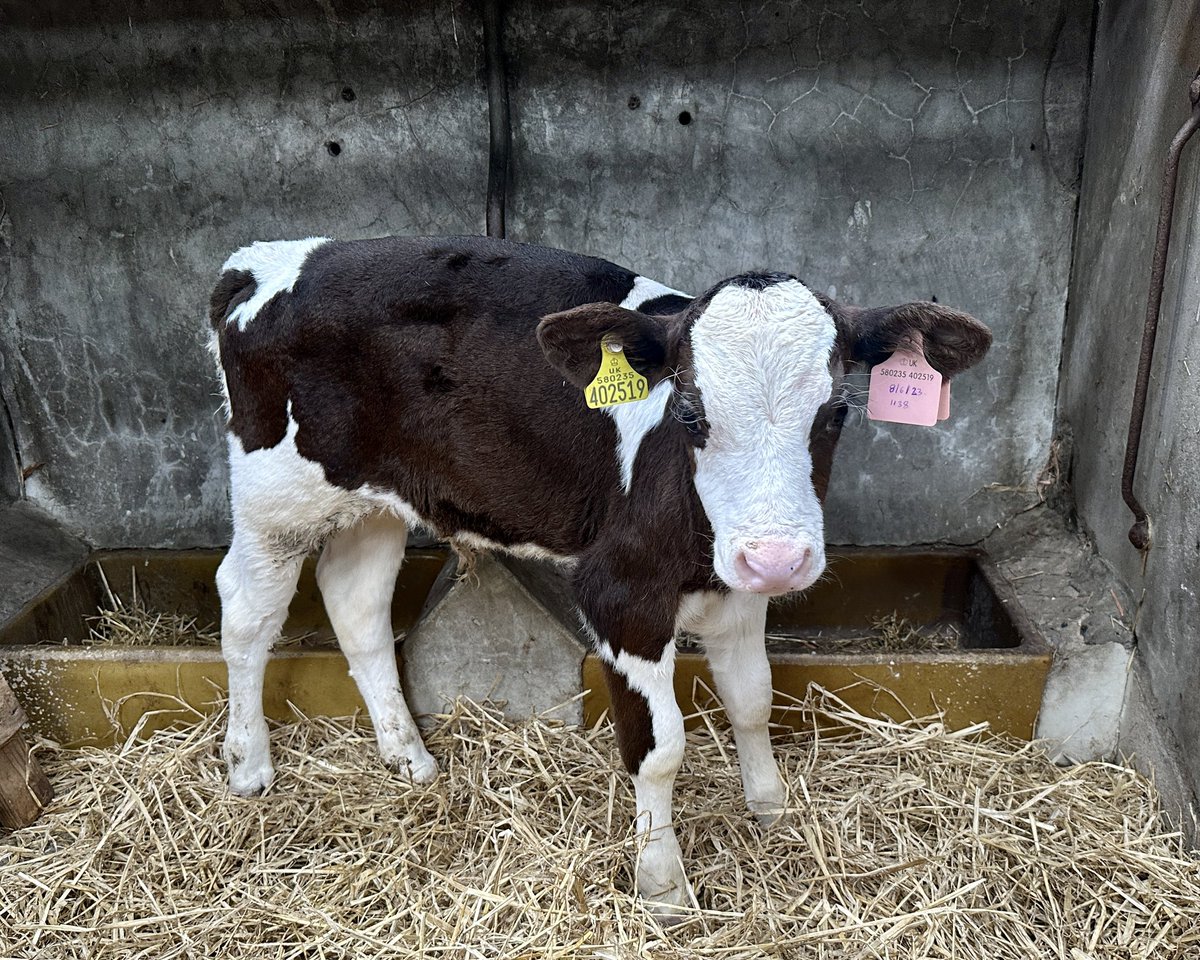 Kate Hopper tweet media