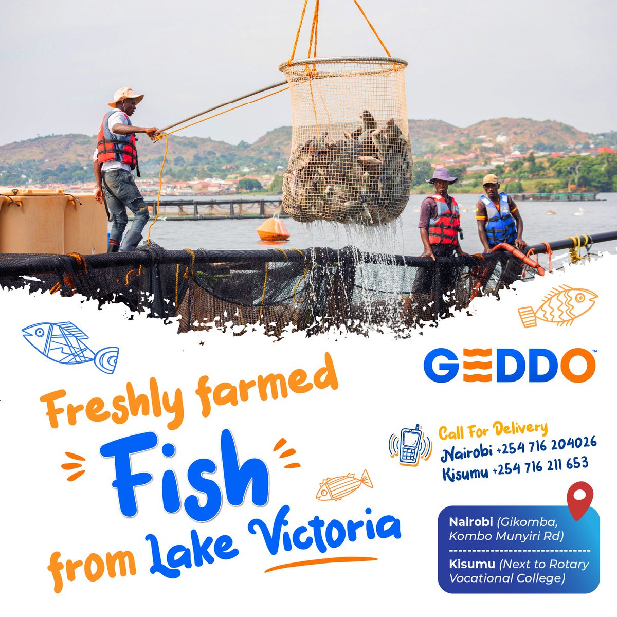 GEDDOFreshFish's tweet photo. Freshly farmed Fish🐟 from Lake Victoria 🌊

✨ Fresh &amp; 😋 Tasty 🐟 Tilapia! 💙

📍Nairobi (Gikomba, Kombo Munyiri Rd) +254 716 204026
📍Kisumu (Next to Rotary Vocational College) +254 716 211 653 https://t.co/t2vi0YFwaT