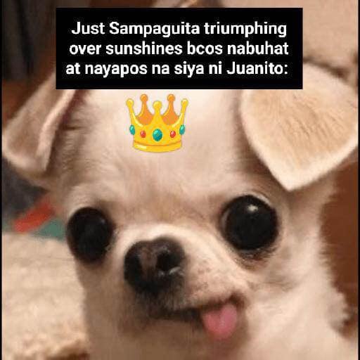 sampaguita being goofy 🤪

#ILYS1892
#ILoveYouSince1892
#BMSVismin