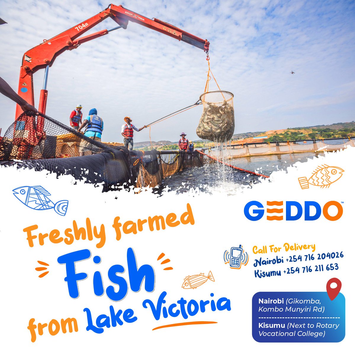 GEDDOFreshFish's tweet photo. Freshly farmed Fish🐟 from Lake Victoria 🌊

✨ Fresh &amp; 😋 Tasty 🐟 Tilapia! 💙

📍Nairobi (Gikomba, Kombo Munyiri Rd) +254 716 204026
📍Kisumu (Next to Rotary Vocational College) +254 716 211 653 https://t.co/mkmKZRY3Y4