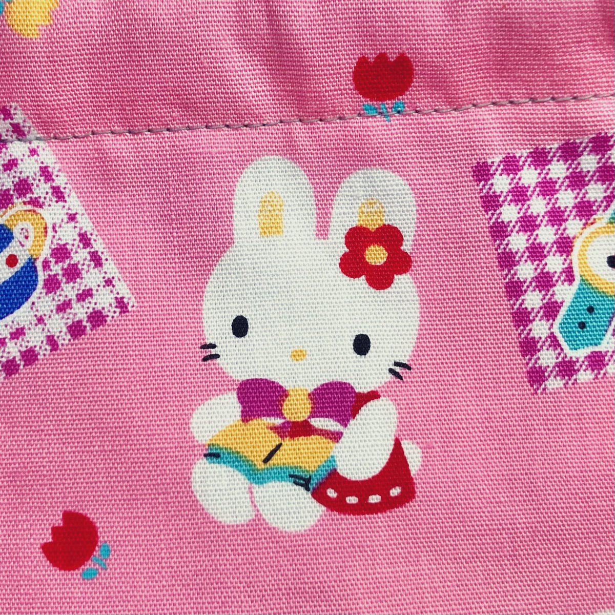 某キャットにそっくりなチェリーキャットという名前のうさちゃん。単に店主が無知なだけで、割とメジャーな存在なんですかね？