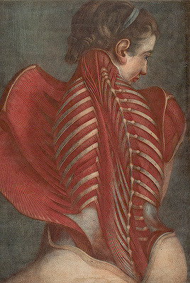 imthespecialk's tweet photo. Jacques Fabien Gautier d'Agoty,  L'Ange anatomique (The Anatomical Angel) 1747 / Roberto Cavalli fw00 metal spine dress https://t.co/T5mKWYPXMv