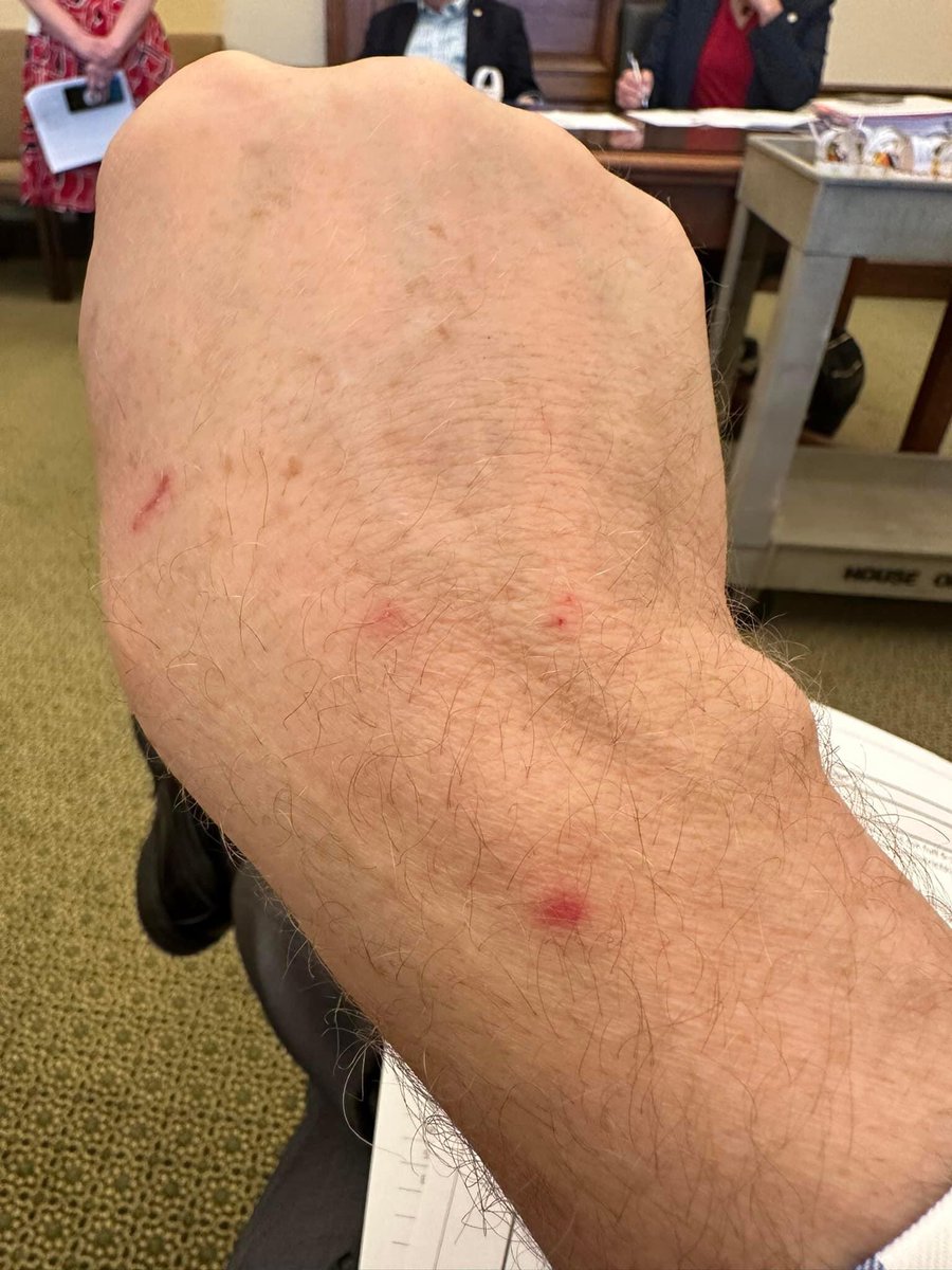 Tell me you own a dog without saying you own a dog 😆