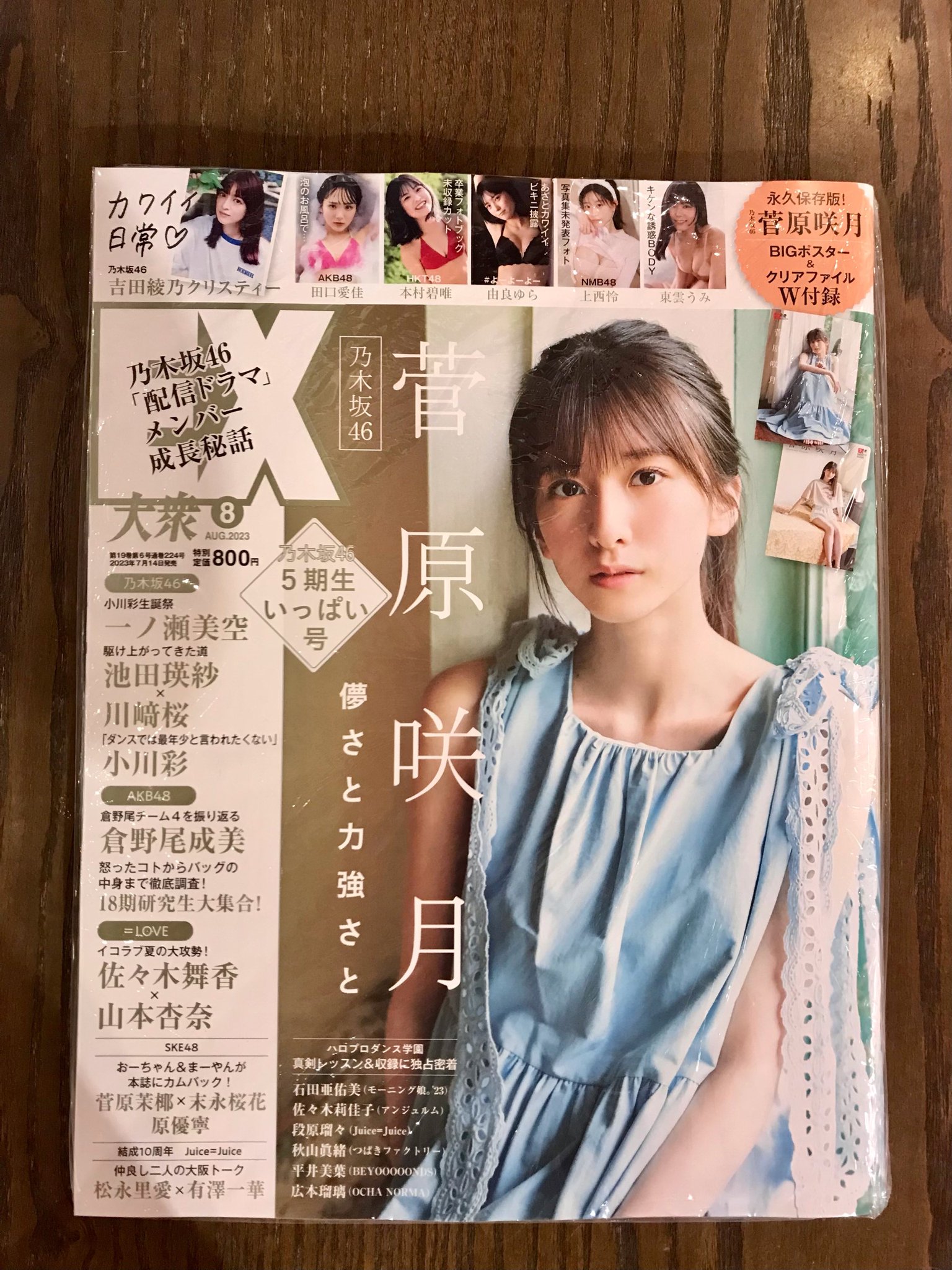 AKB48付録32点セット AKB48付録32点セット